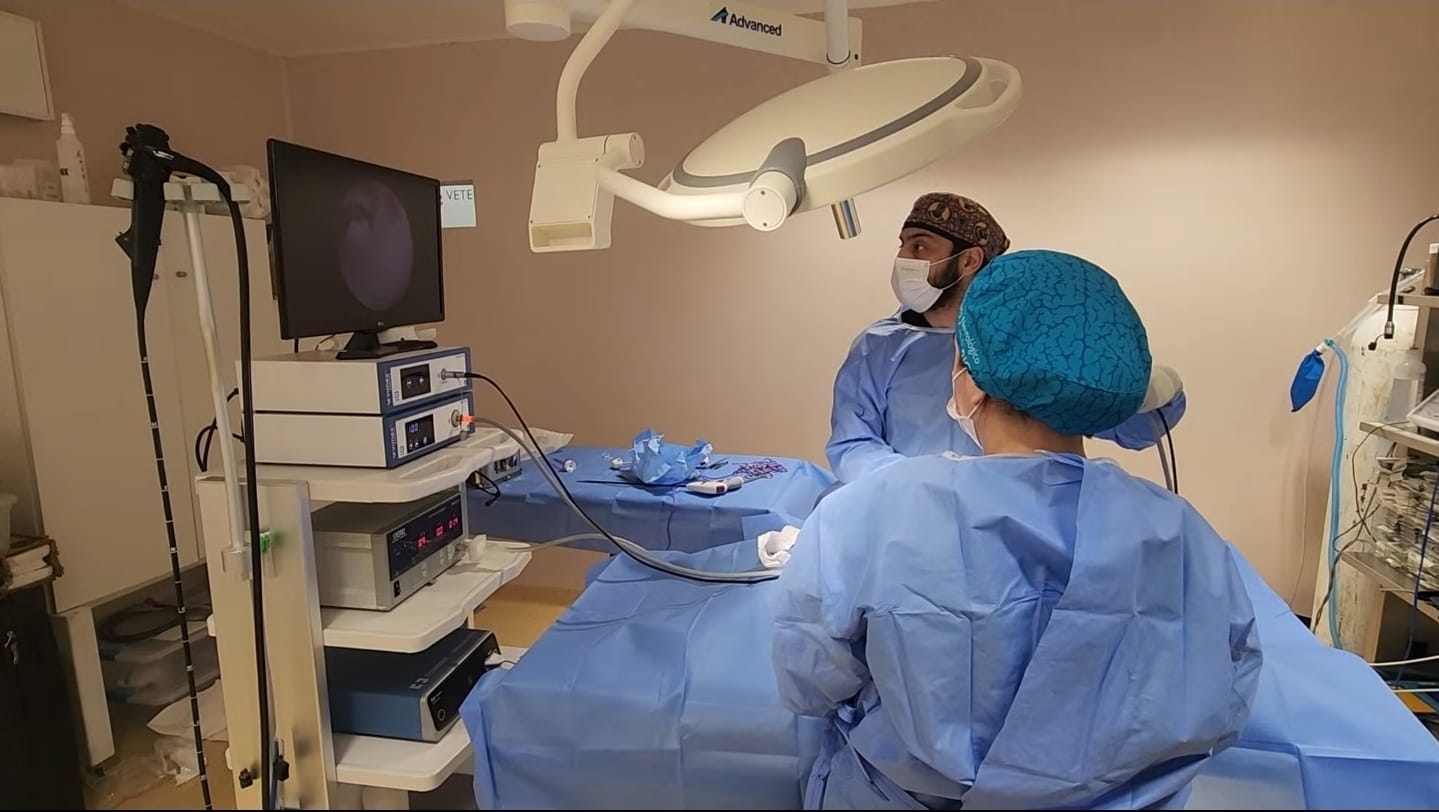 Imagen de vista previa